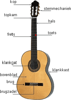 onderdelen van een akoestische gitaar