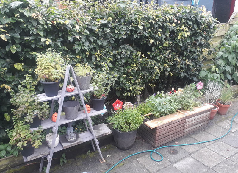 Tuin 04
