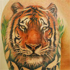 tijger tatoeage symbool
