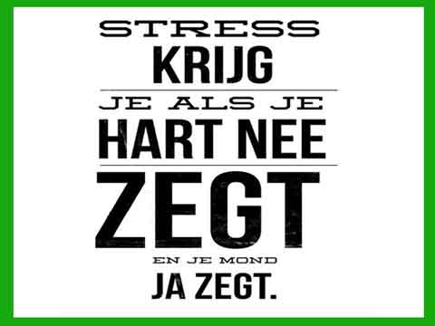 Hein Pragt - quote over stress