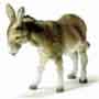 Donkey as symbol