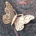 graf vlinder symbool