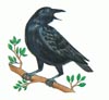 Crow as symbol