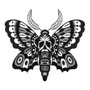 moth als symbol