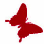 Butterfly as a symbol