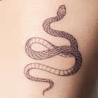 slang tatoeage symbool